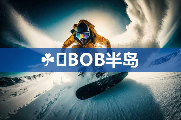 穆棱雪糕棒厂